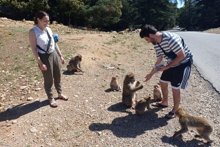 Middle Atlas Mountains