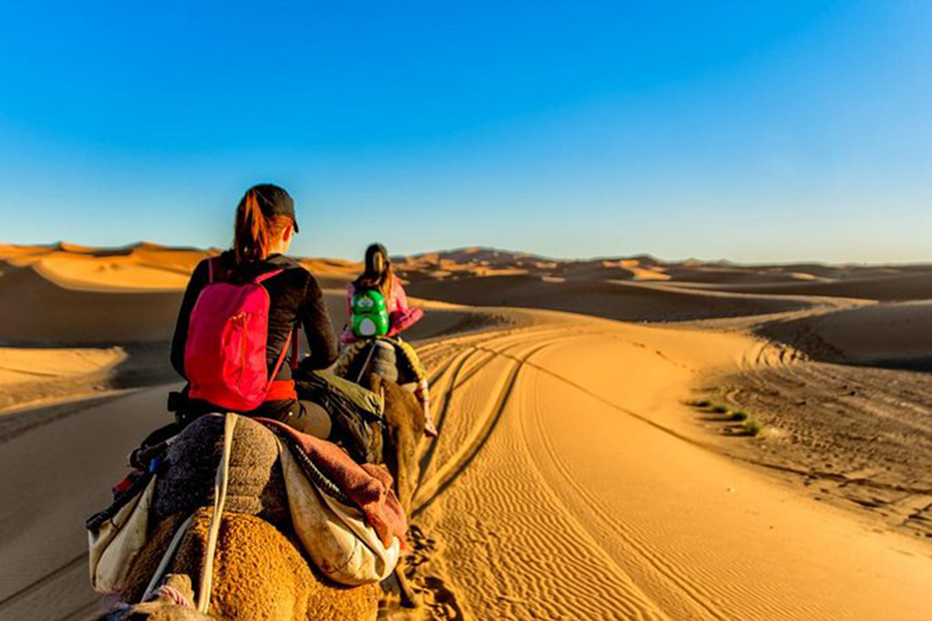 Marrakech to Zagora 2 Días Desert Tour